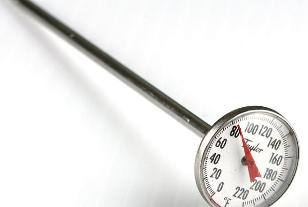 Where to Put a Meat Thermometer
