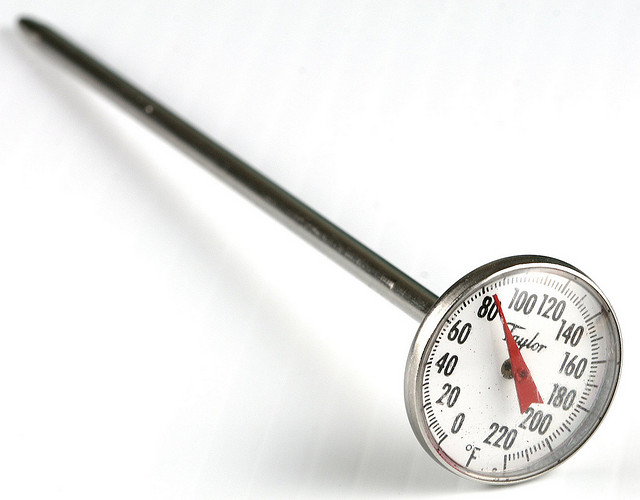 Where to Put a Meat Thermometer