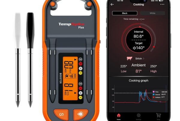 best for smoking thermometer: thermopro tempspike