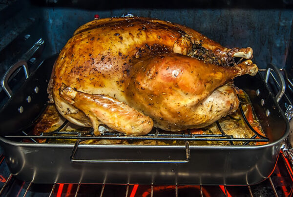 turkey oven dinner meal, meat thermometer